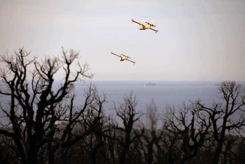 Playbac Presse Digital journaux jeunesse Le Petit Quotidien, Mon