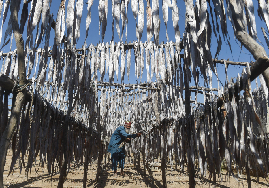 Playbac Presse Digital: journaux jeunesse Le Petit Quotidien, Mon