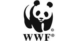 Playbac Presse Digital journaux jeunesse Le Petit Quotidien, Mon