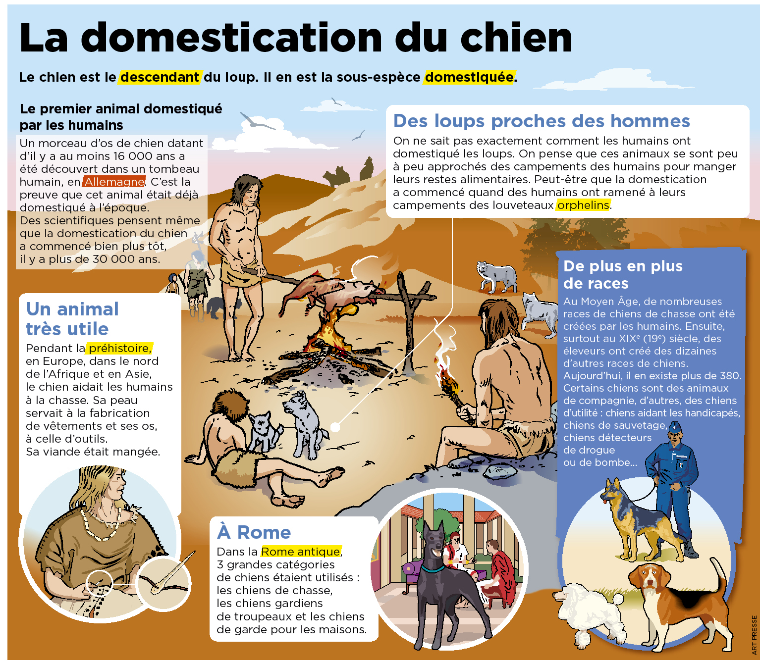 Sous-vêtements datant