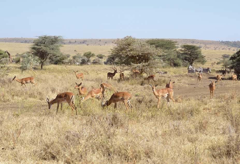 Playbac Presse Digital journaux jeunesse Le Petit Quotidien, Mon Quotidien, L