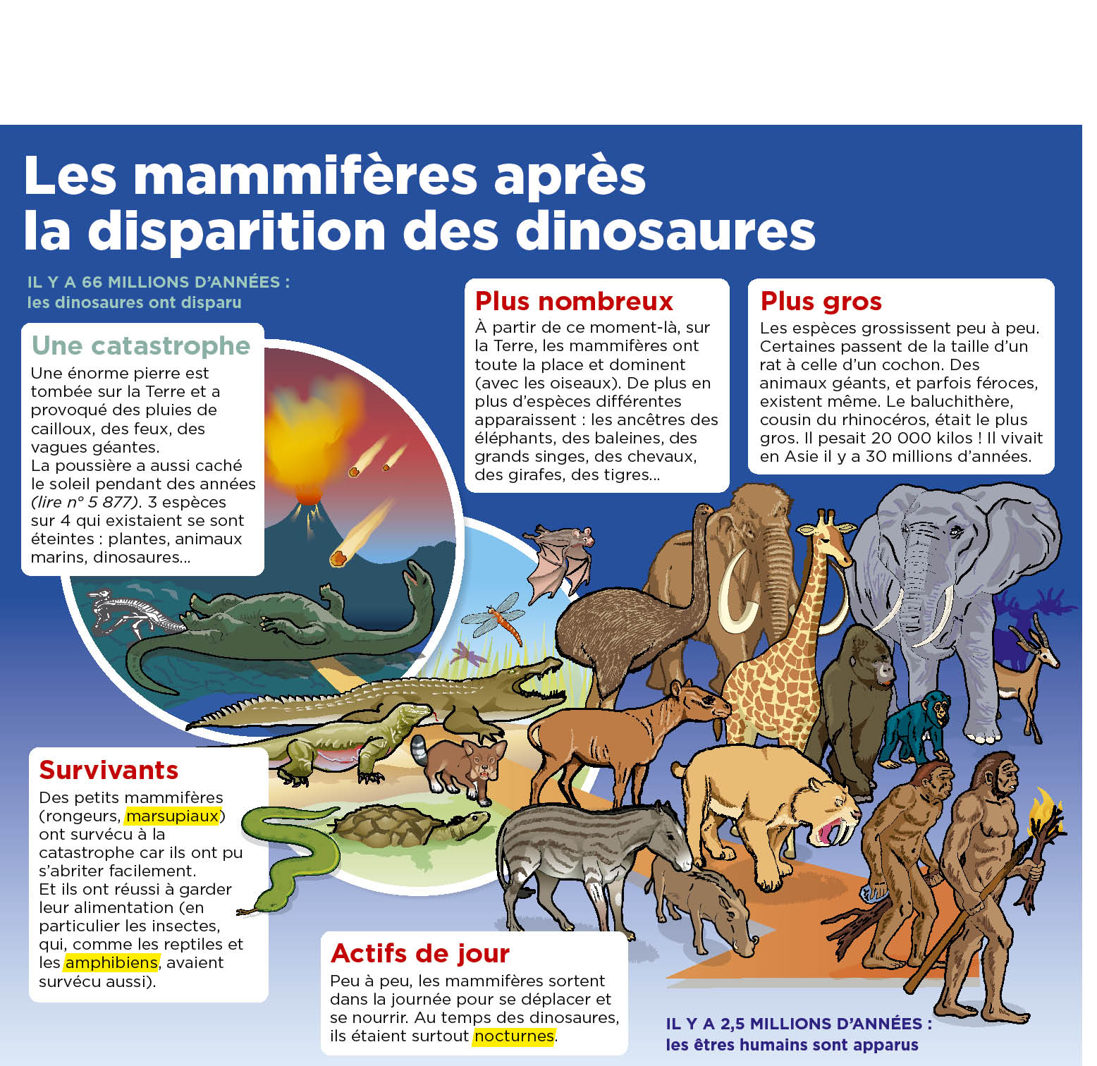 Découverte Cet Animal Ancien 7 Fois Plus Gros Quun Lion