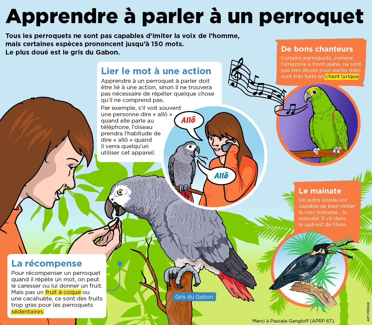 Aux Etats Unis Un Perroquet A Sauve Une Famille En Criant Au Feu Le Petit Quotidien Le Seul Journal D Actualite Pour Les Enfants De 6 10 Ans