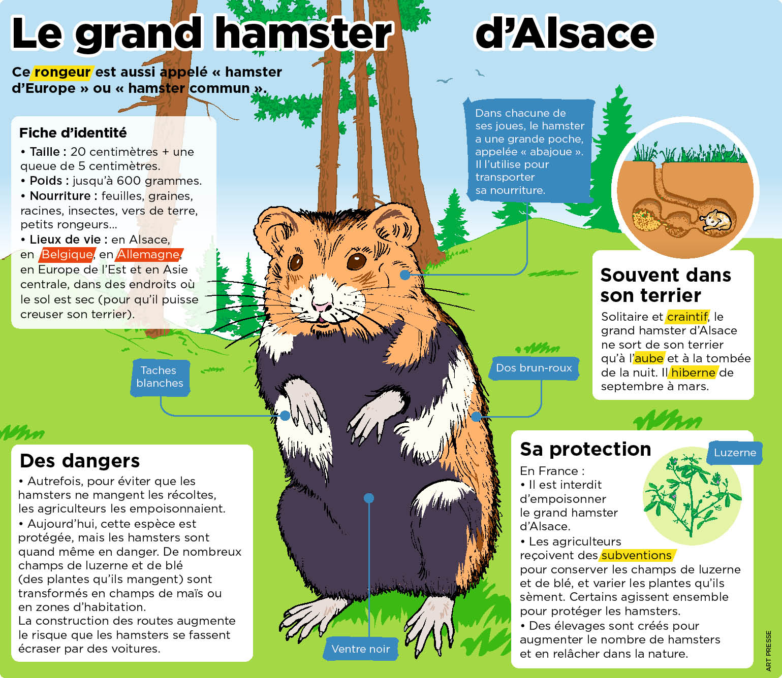 playbac-presse-digital-journaux-jeunesse-le-petit-quotidien-mon