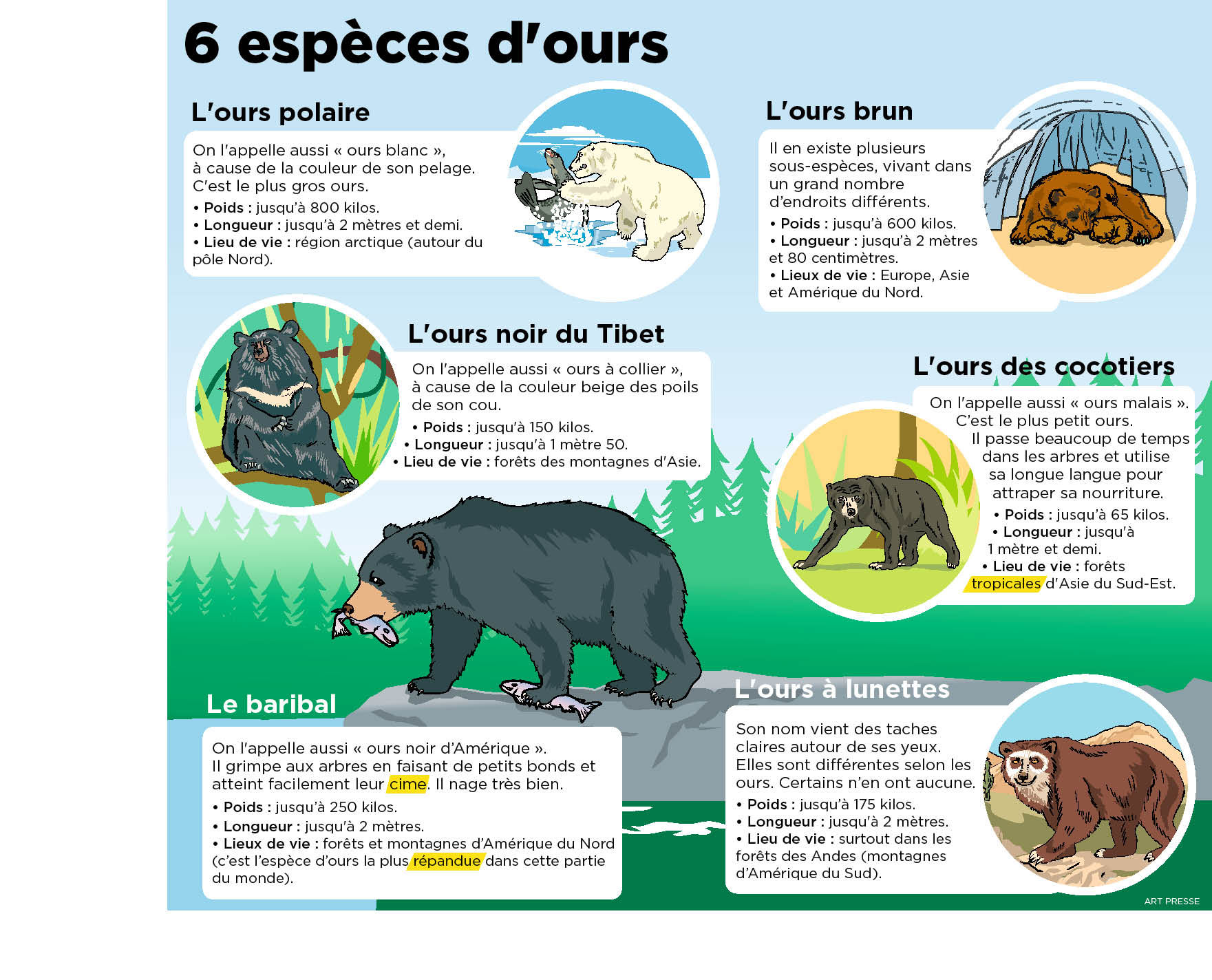 Dans Un Zoo D Asie Un Ourson Et Un Chimpanze Sont Devenus Amis Le Petit Quotidien Le Seul Journal D Actualite Pour Les Enfants De 6 10 Ans