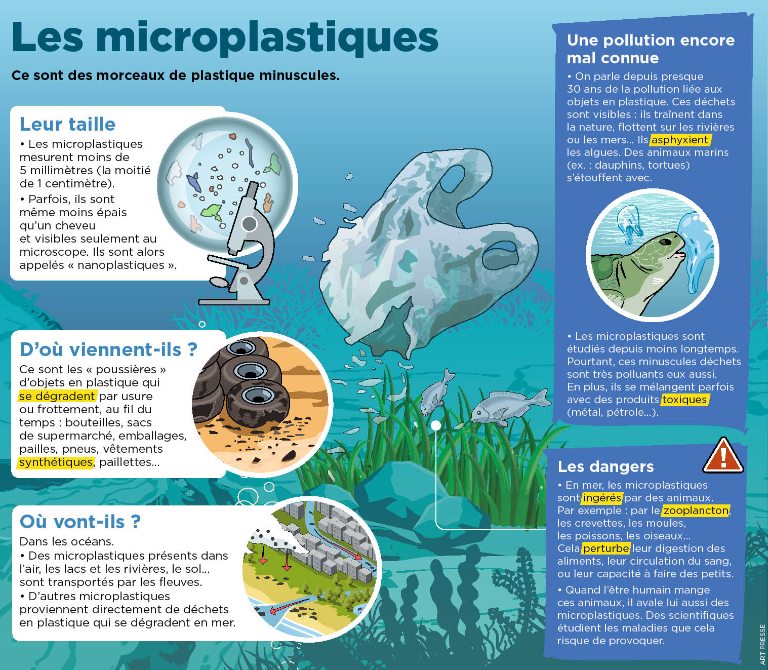 Playbac Presse Digital: Journaux Jeunesse Le Petit Quotidien, Mon ...