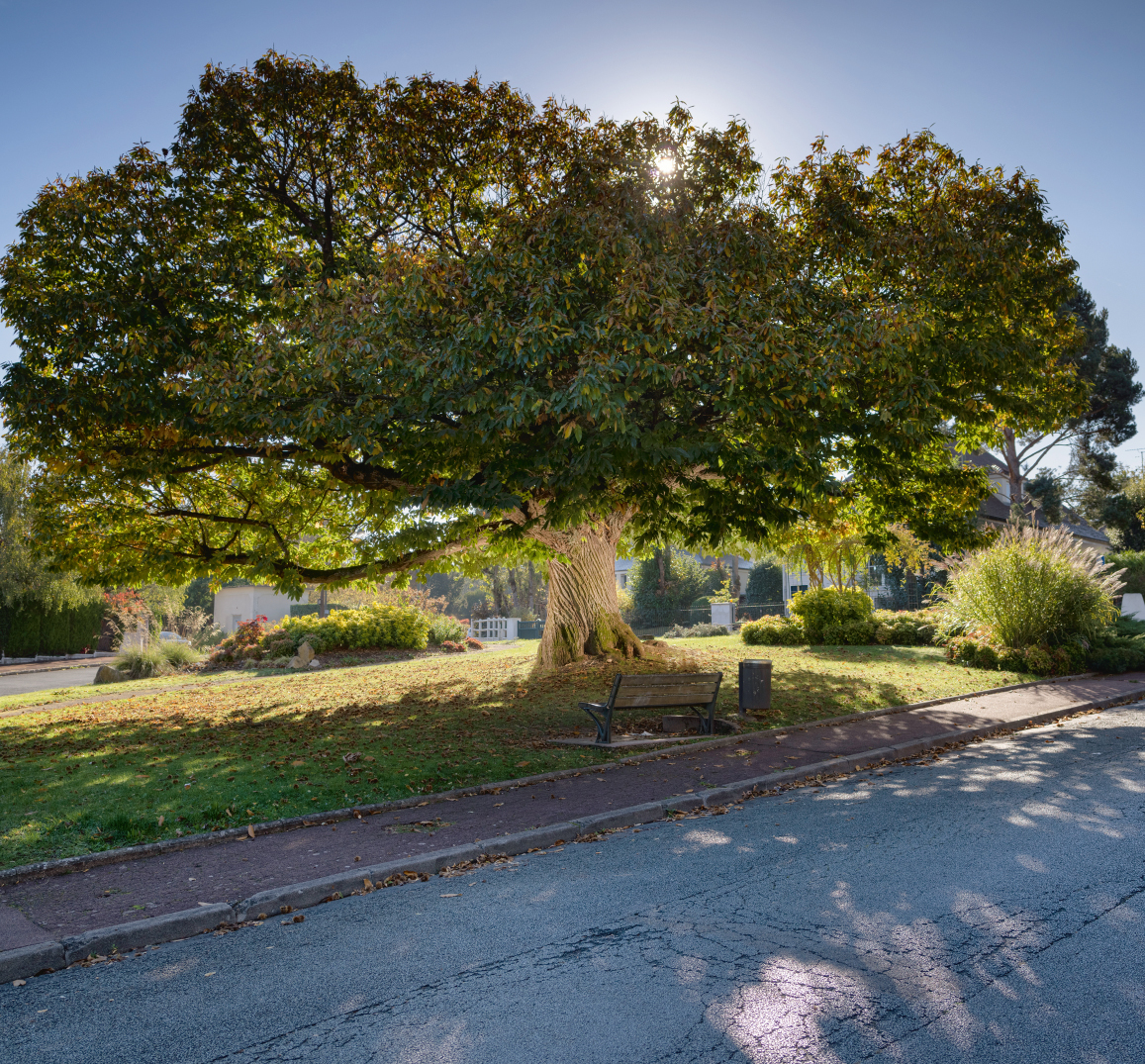 Playbac Presse Digital journaux jeunesse Le Petit Quotidien, Mon Quotidien, L'actu, L'éco et plus