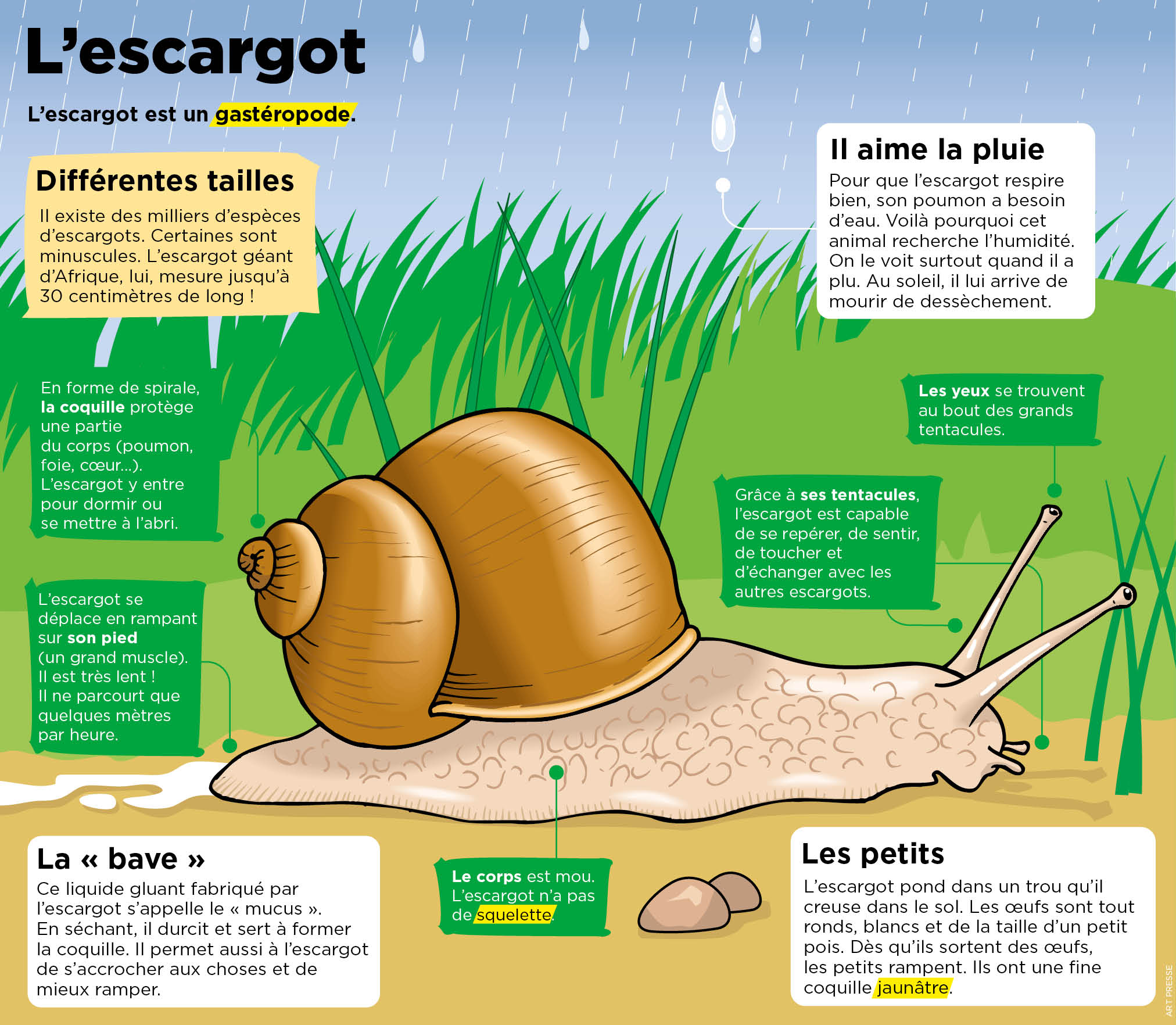 Playbac Presse Digital journaux jeunesse Le Petit Quotidien, Mon Quotidien, L