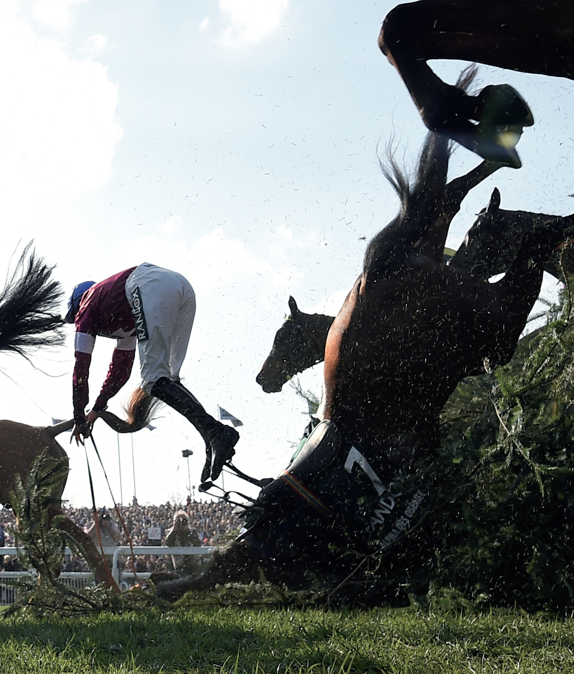 Libro: Diario Del Atleta: La Experiencia De Falla