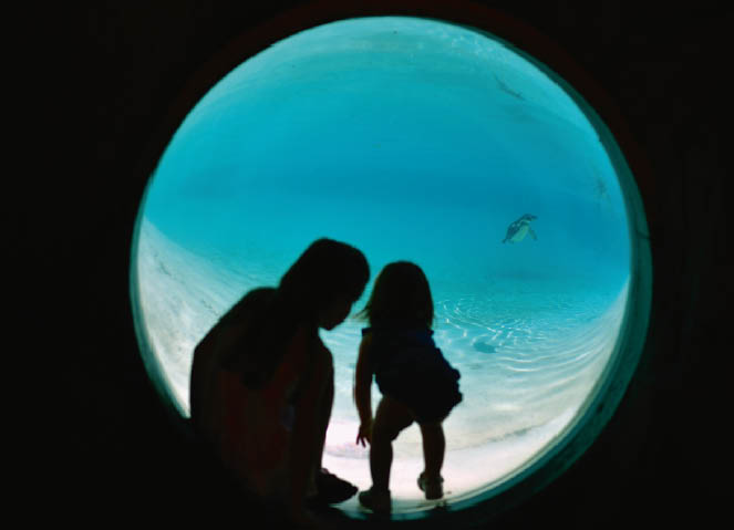 Playbac Presse Digital: journaux jeunesse Le Petit Quotidien, Mon ...