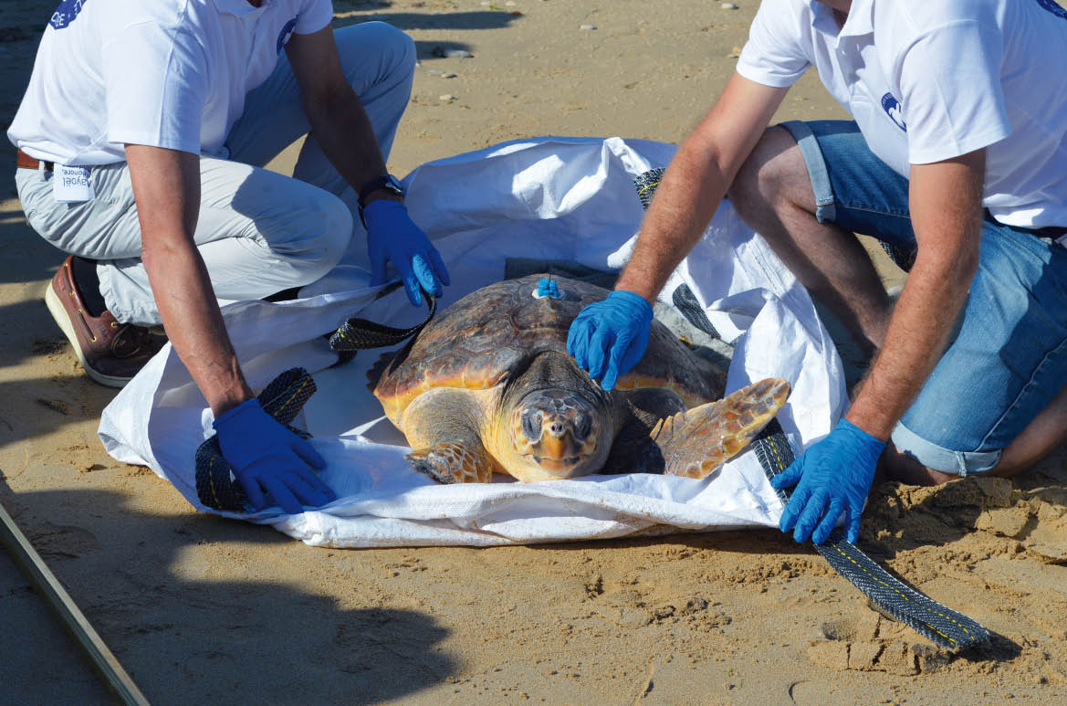 Playbac Presse Digital journaux jeunesse Le Petit Quotidien, Mon