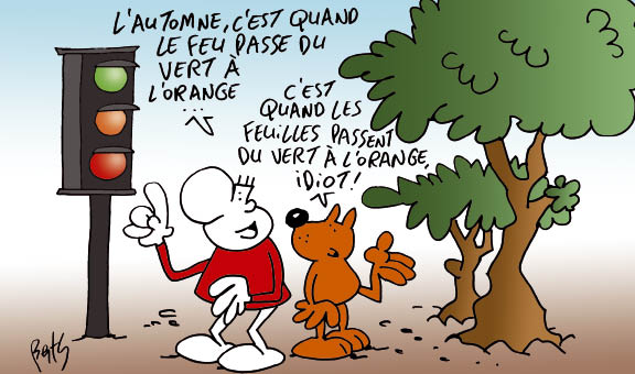 Pourquoi Les Feuilles Des Arbres Deviennent Elles Orange A L Automne Playbac Presse Digital Journaux Jeunesse Le Petit Quotidien Mon Quotidien L Actu L Eco Et Plus