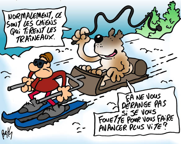 Le Drole De Sauvetage En Montagne D Un Chien Mon Quotidien Le Seul Journal D Actualite Pour Les Enfants De 10 14 Ans