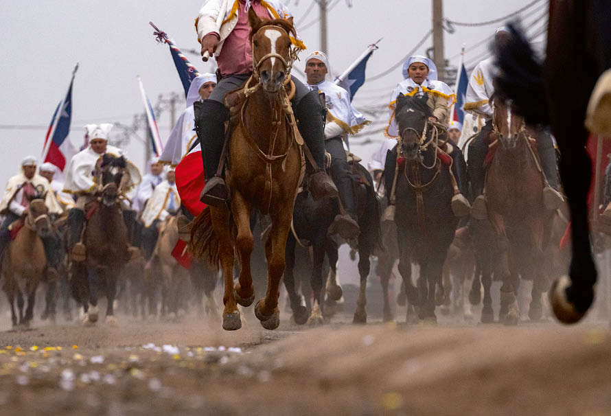 Playbac Presse Digital journaux jeunesse Le Petit Quotidien, Mon