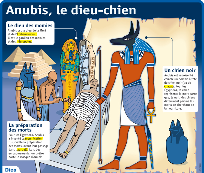 Anubis Le Dieu Chien Le Petit Quotidien Le Seul Journal D Actualite Pour Les Enfants De 6 10 Ans