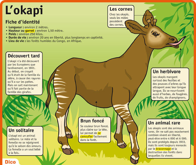 okapi omegat pdf