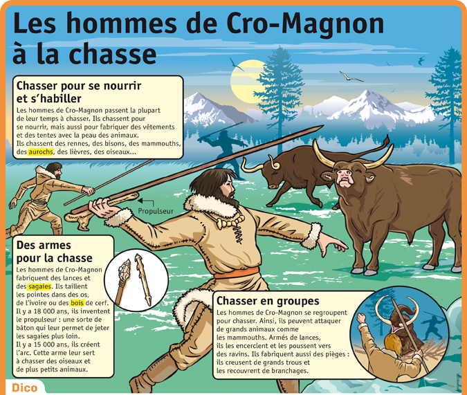 Les Hommes De Cro Magnon A La Chasse Le Petit Quotidien Le Seul Journal D Actualite Pour Les Enfants De 6 10 Ans