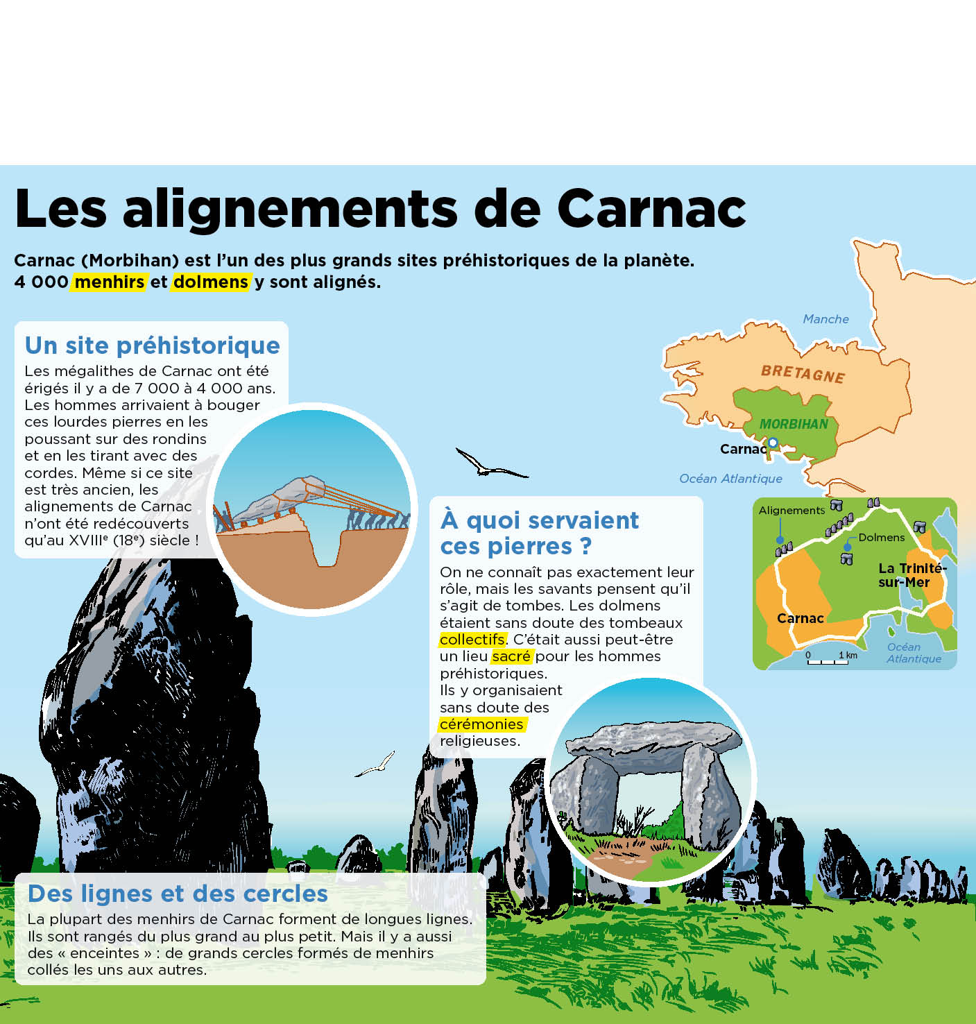 Les alignements de Carnac | Fiches exposés Le Petit Quotidien ...